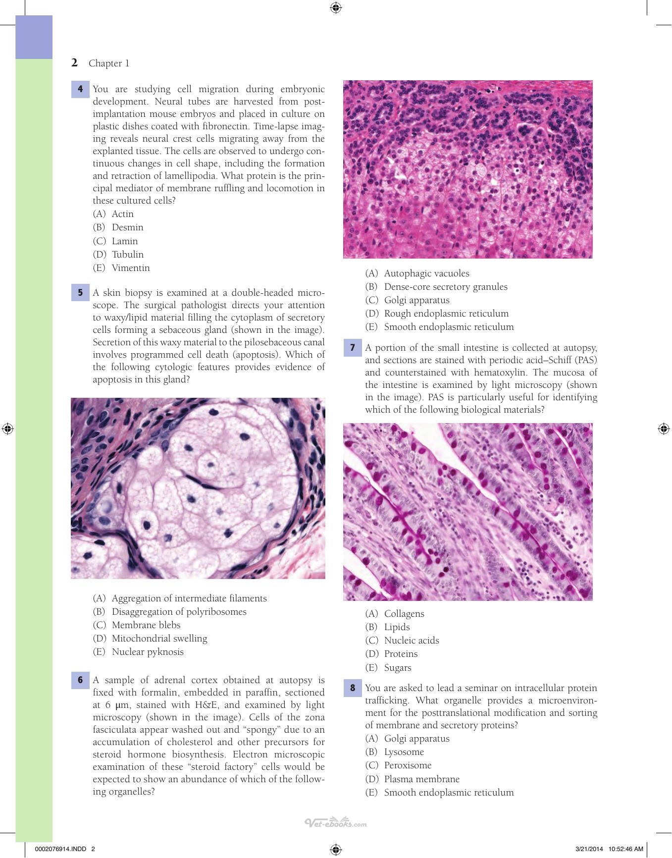 Lippincotts Illustrated Qa Review of Histology