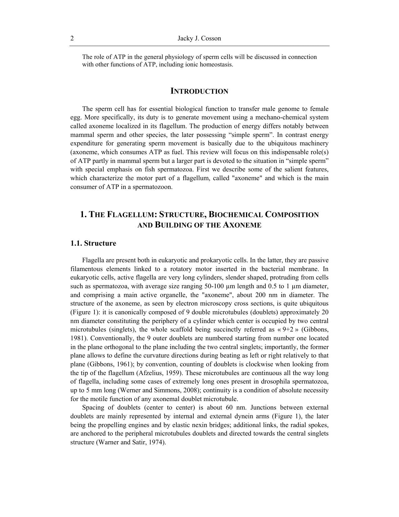 Adenosine Triphosphate Chemical Properties Biosynthesis and Functions in Cells