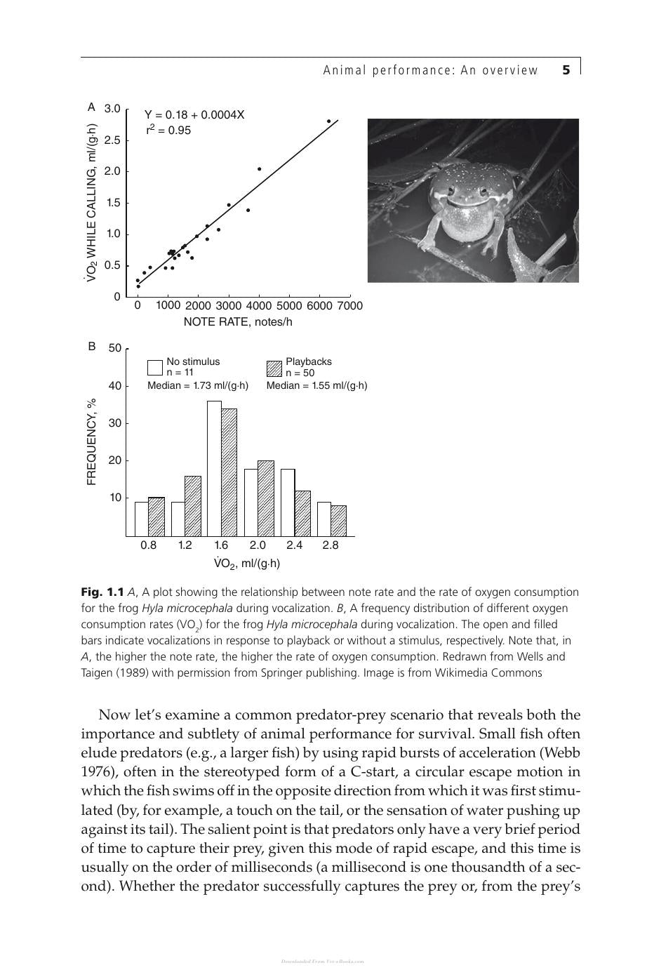 Animal Athletes An Ecological And Evolutionary Approach