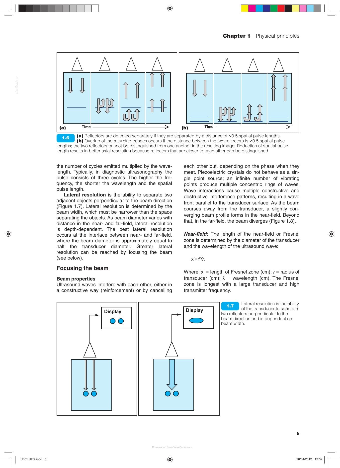 Bsava Manual of Canine and Feline Ultrasonography