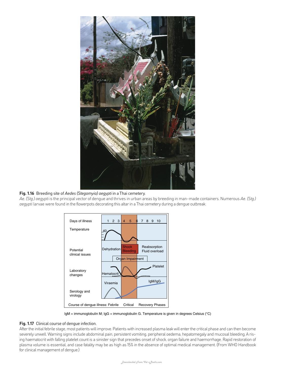 Peters Atlas of Tropical Medicine and Parasitology 7th Edition