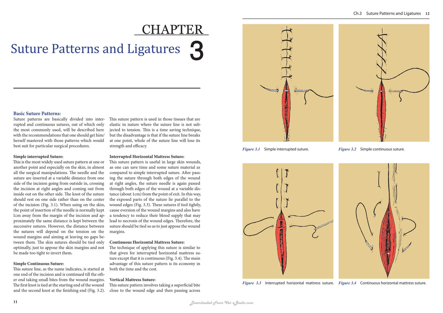 A Guide Book Of Camel Surgery