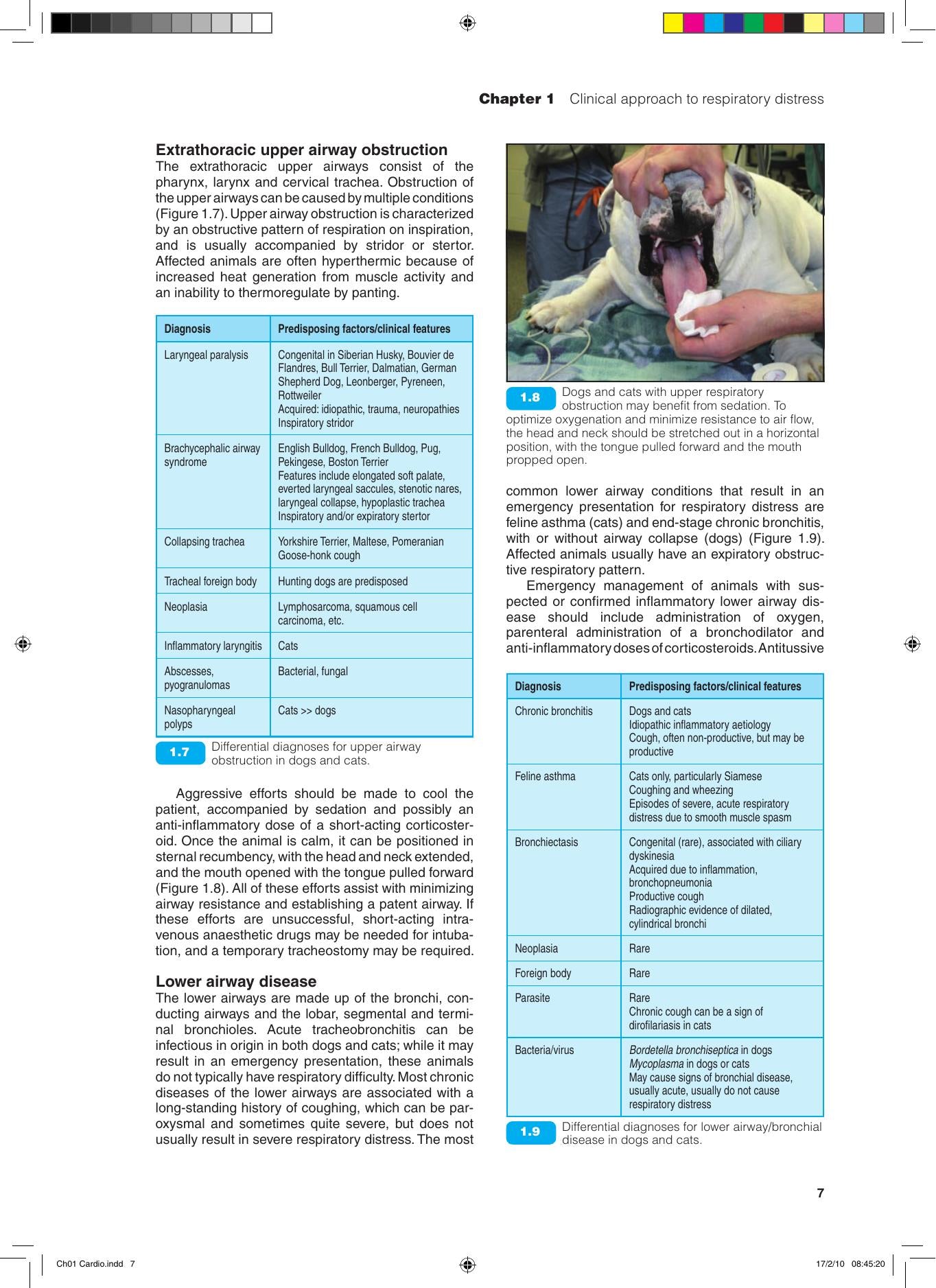 Bsava Manual of Canine and Feline Cardiorespiratory Medicine 2nd Edition