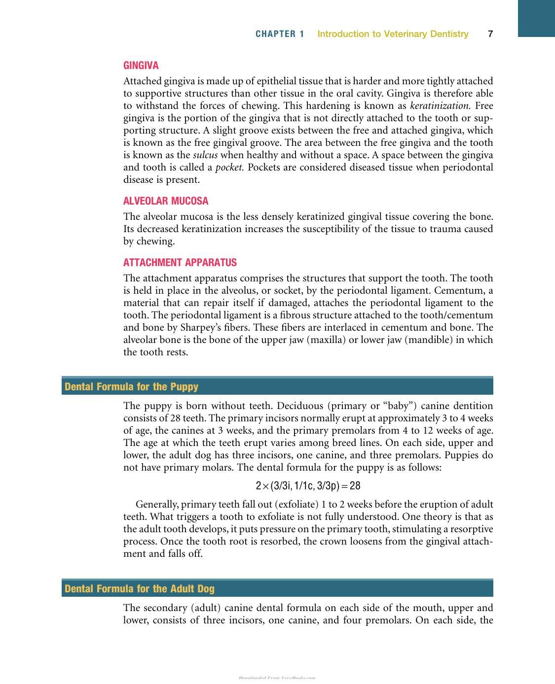 Veterinary Dentistry A Team Approach 2Nd Edition