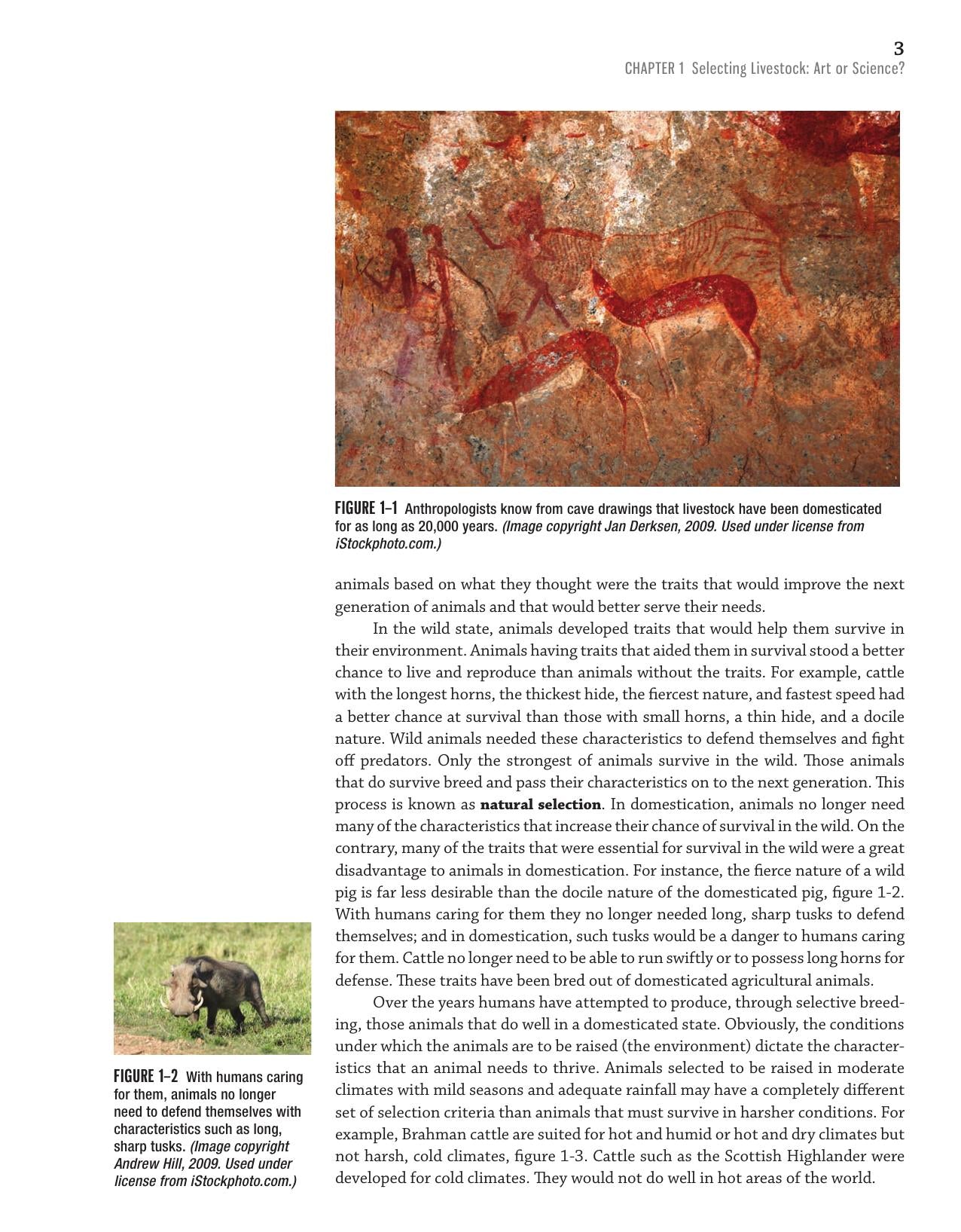 The Art And Science Of Livestock Evaluation