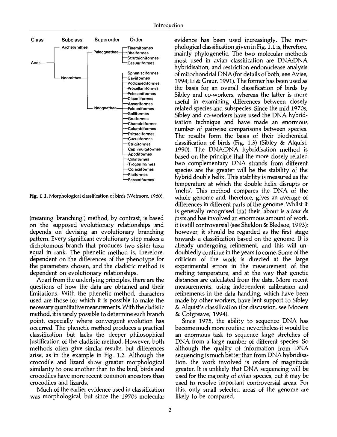 Avian Biochemistry And Molecular Biology