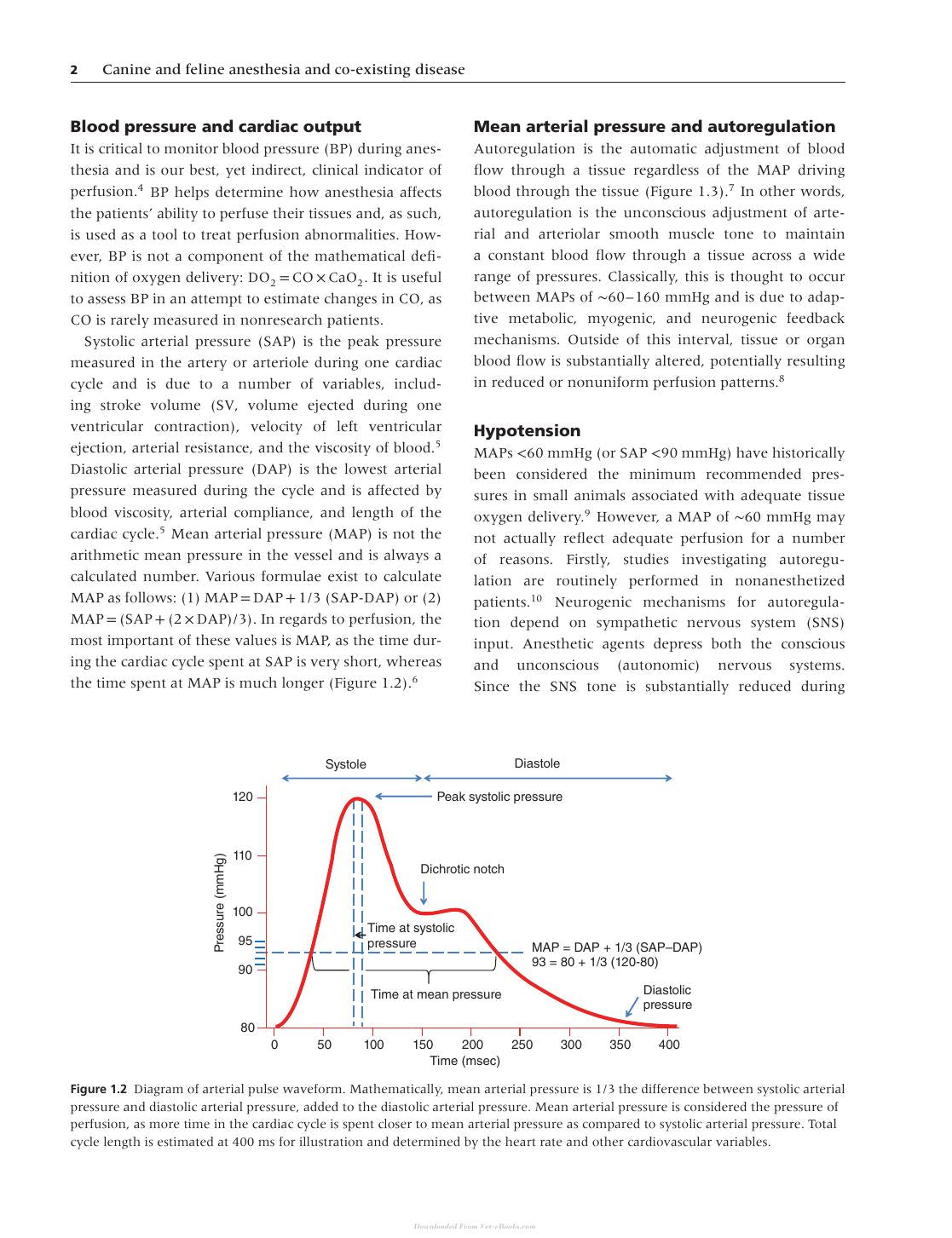 Canine And Feline Anesthesia And Co Existing Disease