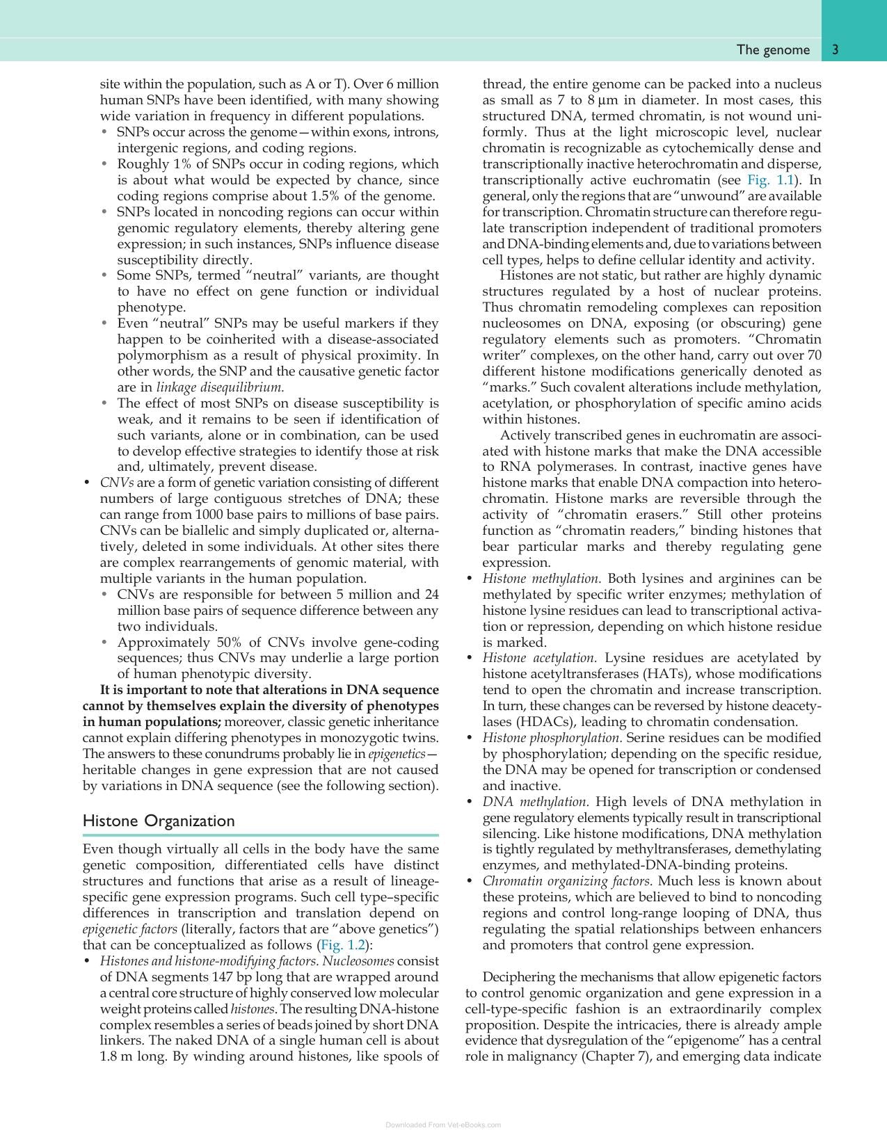 Robbins and Cotran Pathologic Basis of Disease Pdf