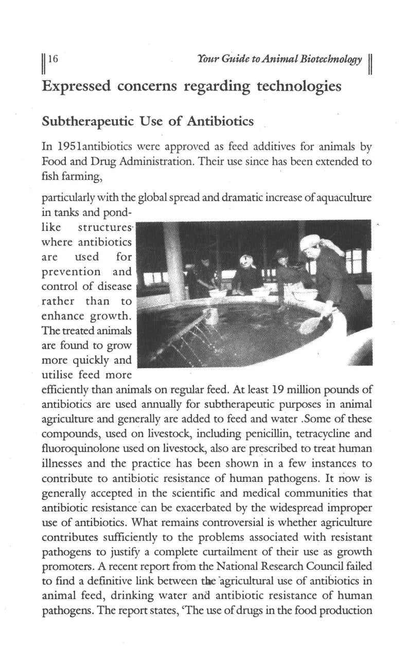 Your Guide to Animal Bio Technology
