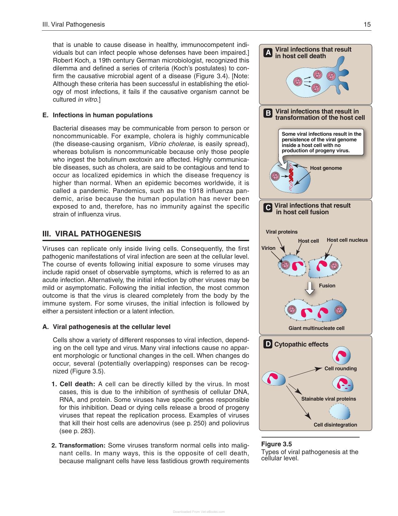Lippincotts Illustrated Reviews Microbiology 3rd Edition