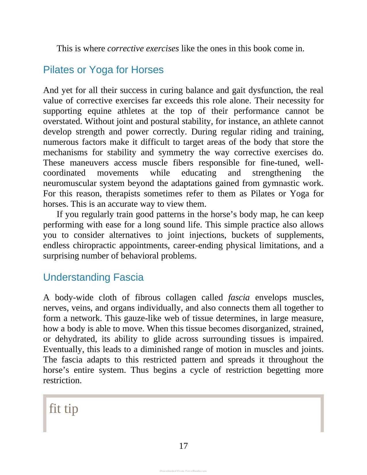 55 Corrective Exercises For Horses Resolving Postural Problems Improving Movement Patterns And Preventing Injury