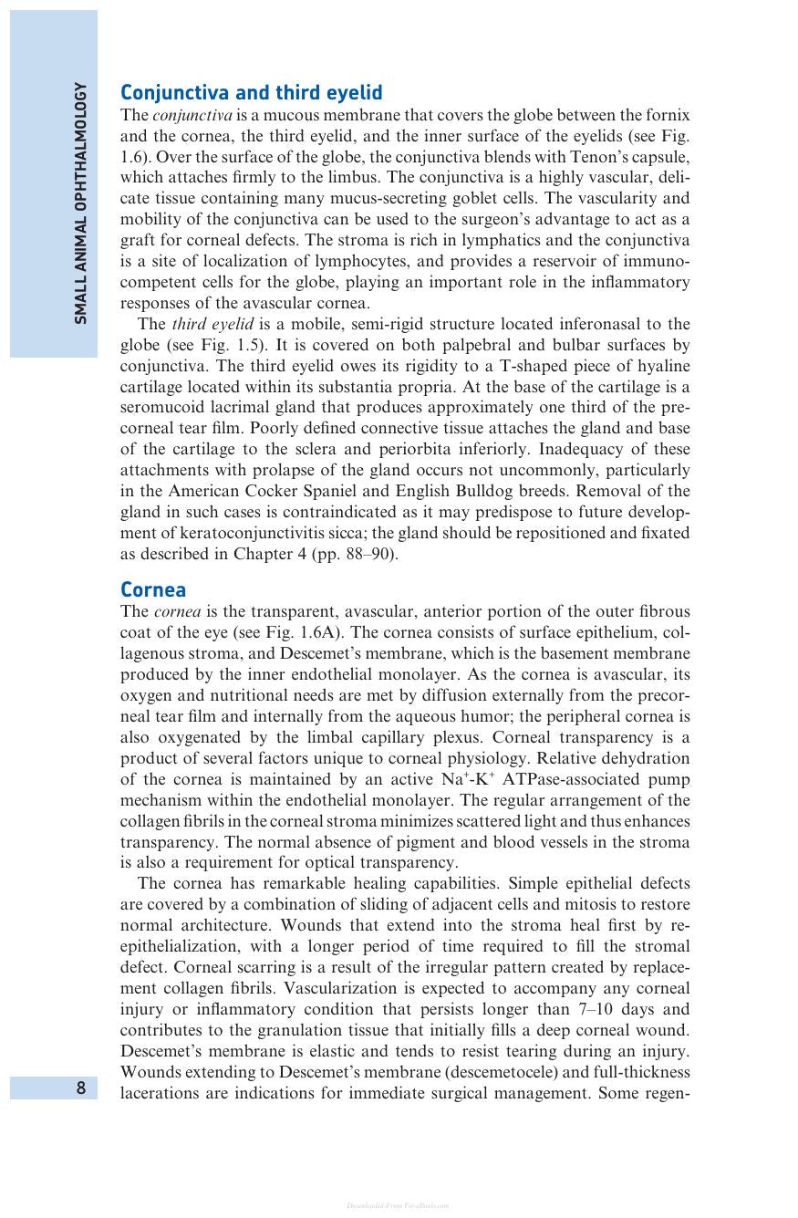 Small Animal Ophthalmology 4Th Edition