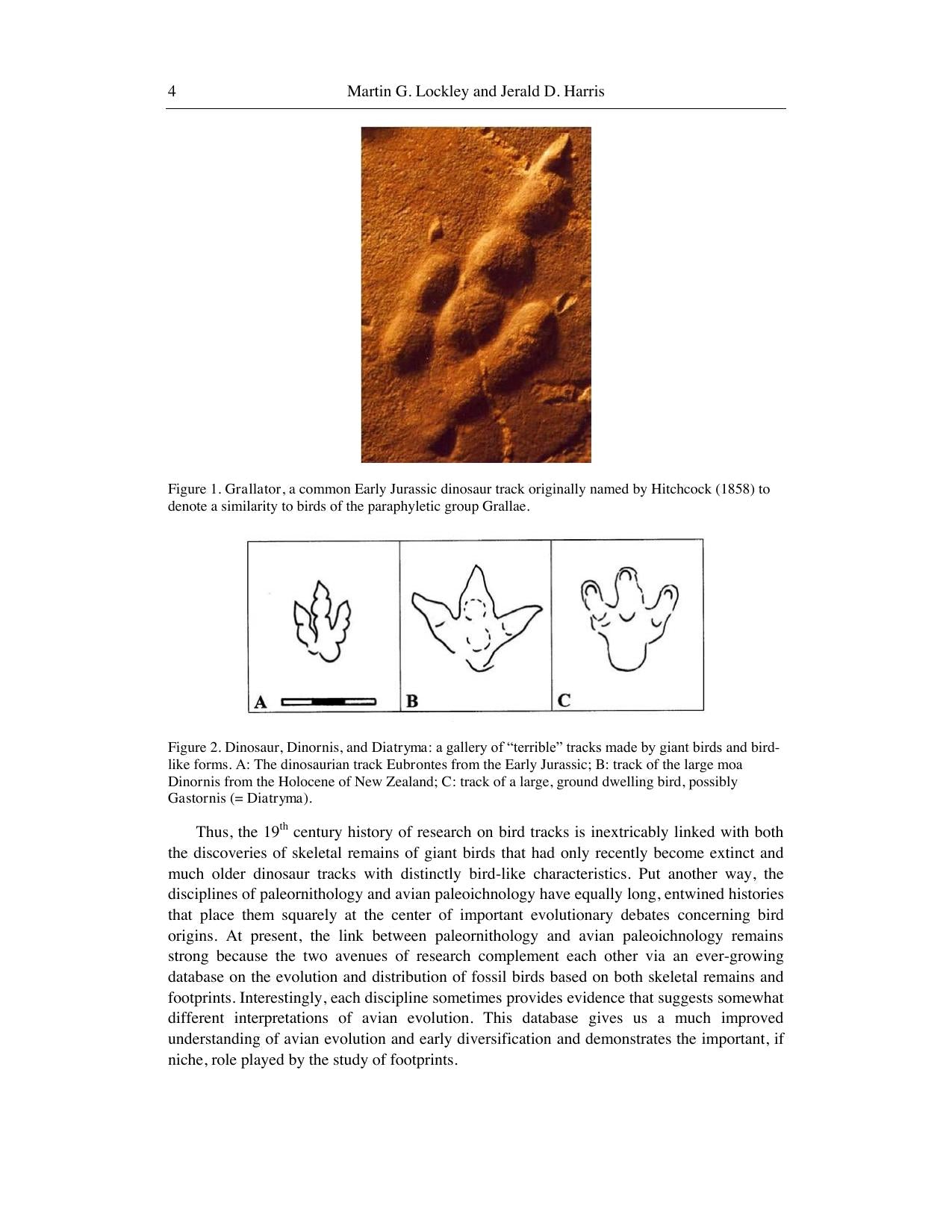 Trends In Ornithology Research