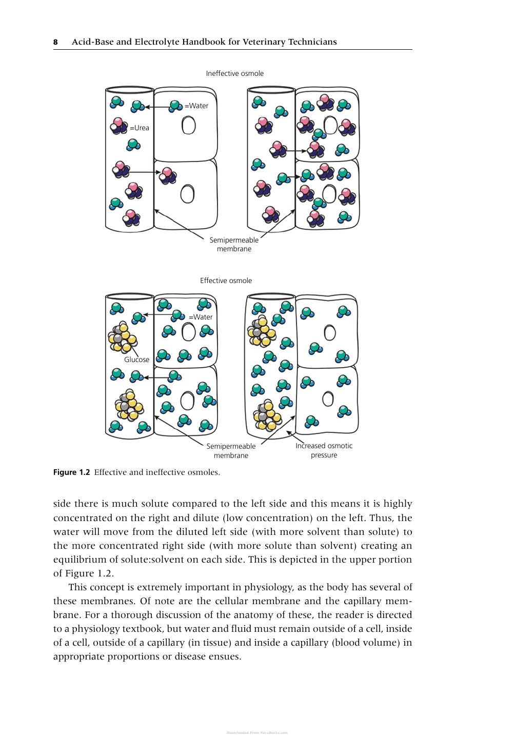 Acid Base Electrolyte Handbook Veterinary Technicians
