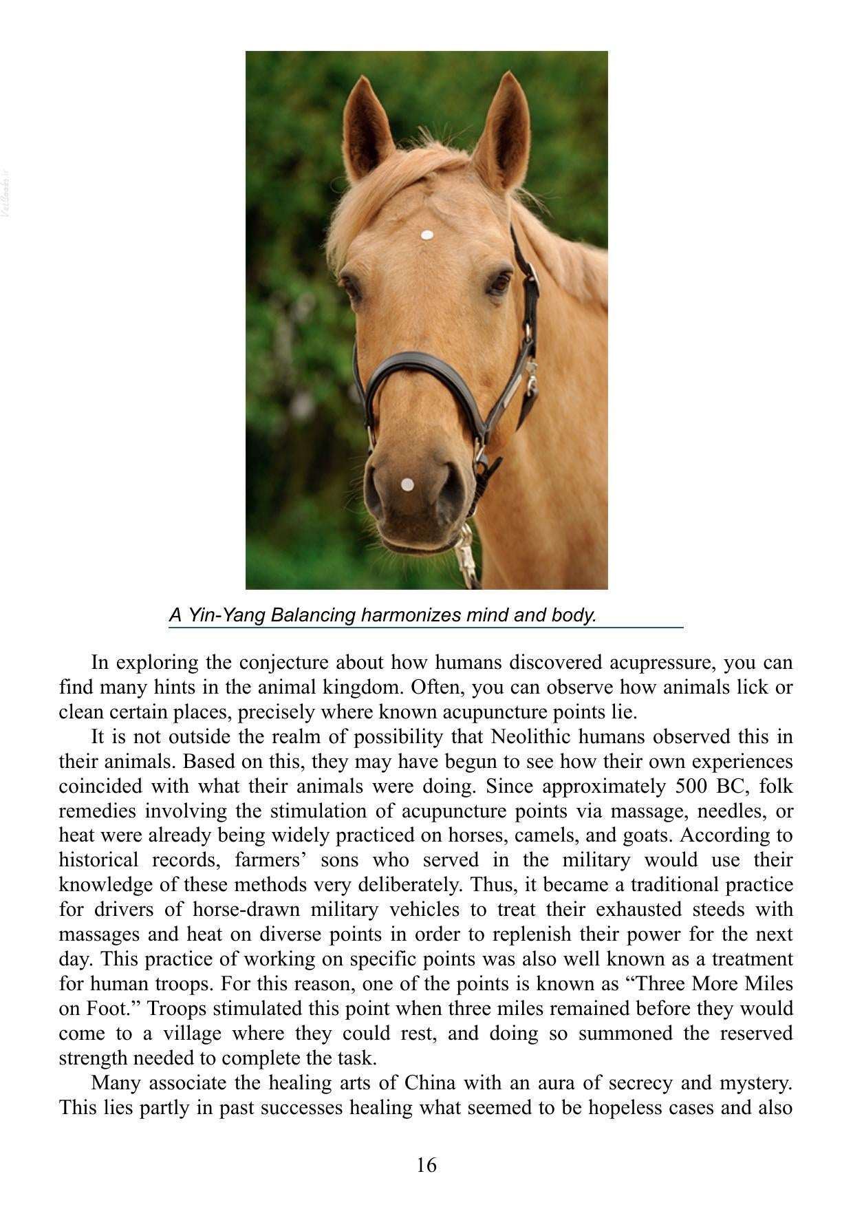 Acupressure for Horses Hands on Techniques to Solve Performance Problems and Ease Pain and Discomfort Pdf