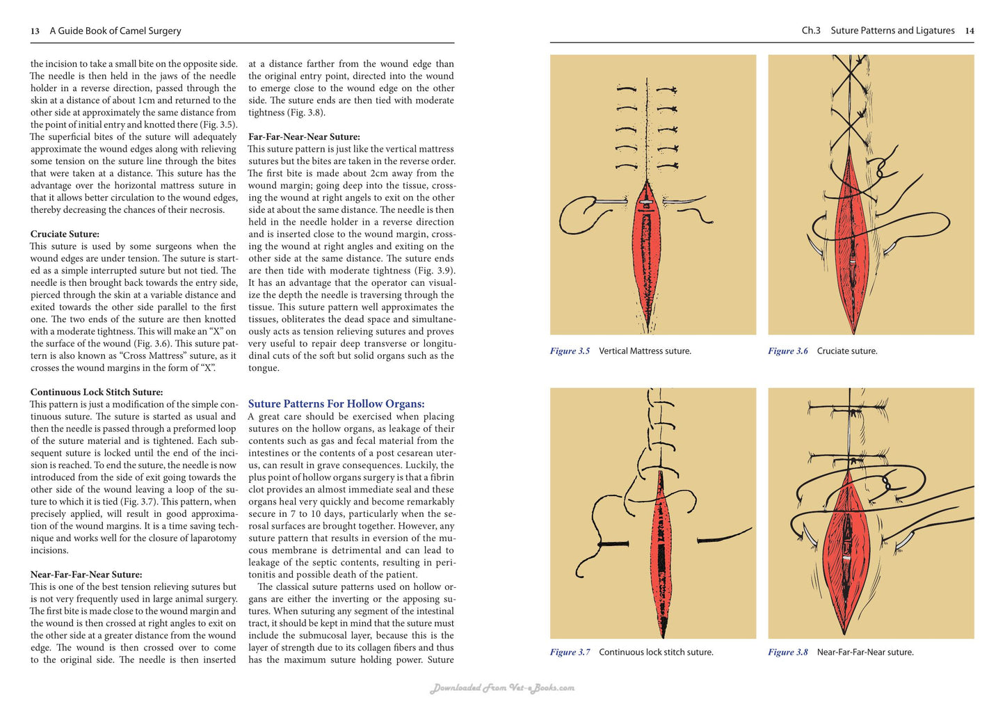 A Guide Book Of Camel Surgery