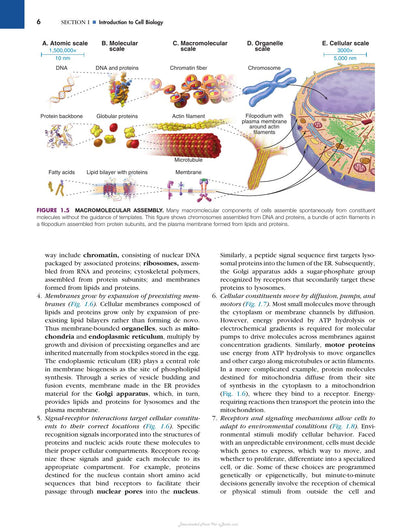 Cell Biology 3rd Edition