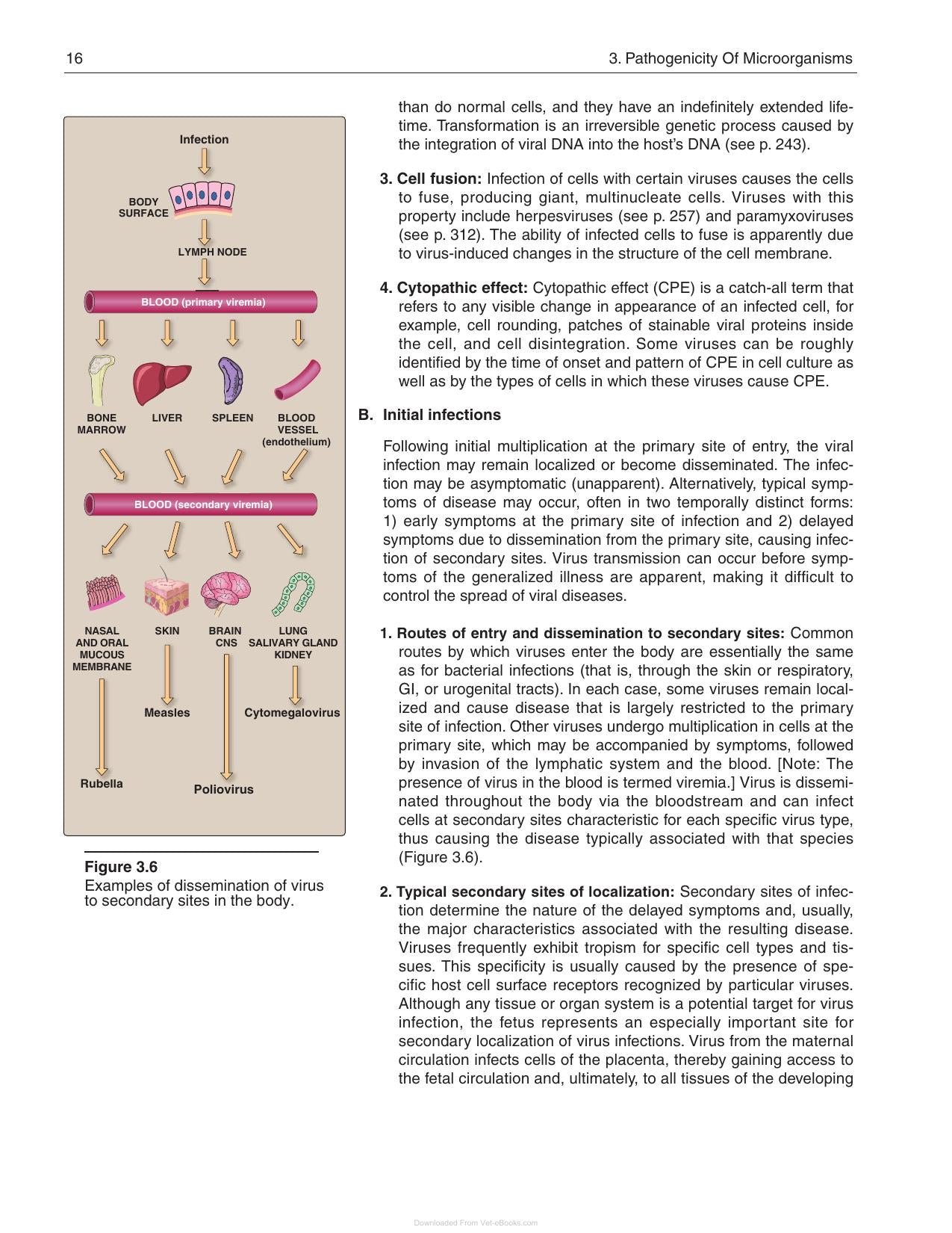 Lippincotts Illustrated Reviews Microbiology 3rd Edition