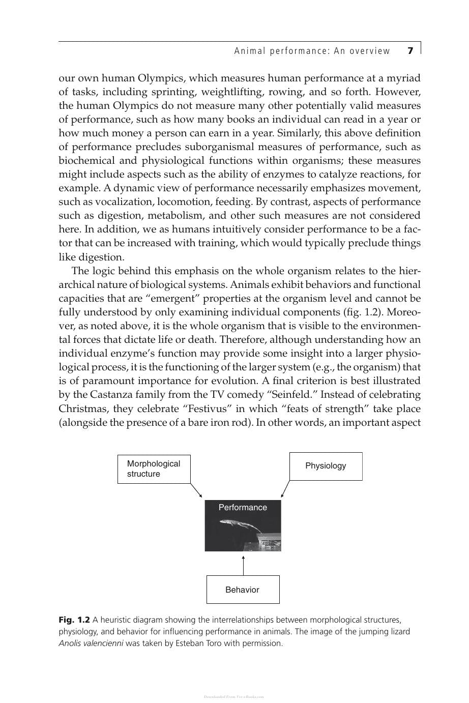 Animal Athletes An Ecological And Evolutionary Approach