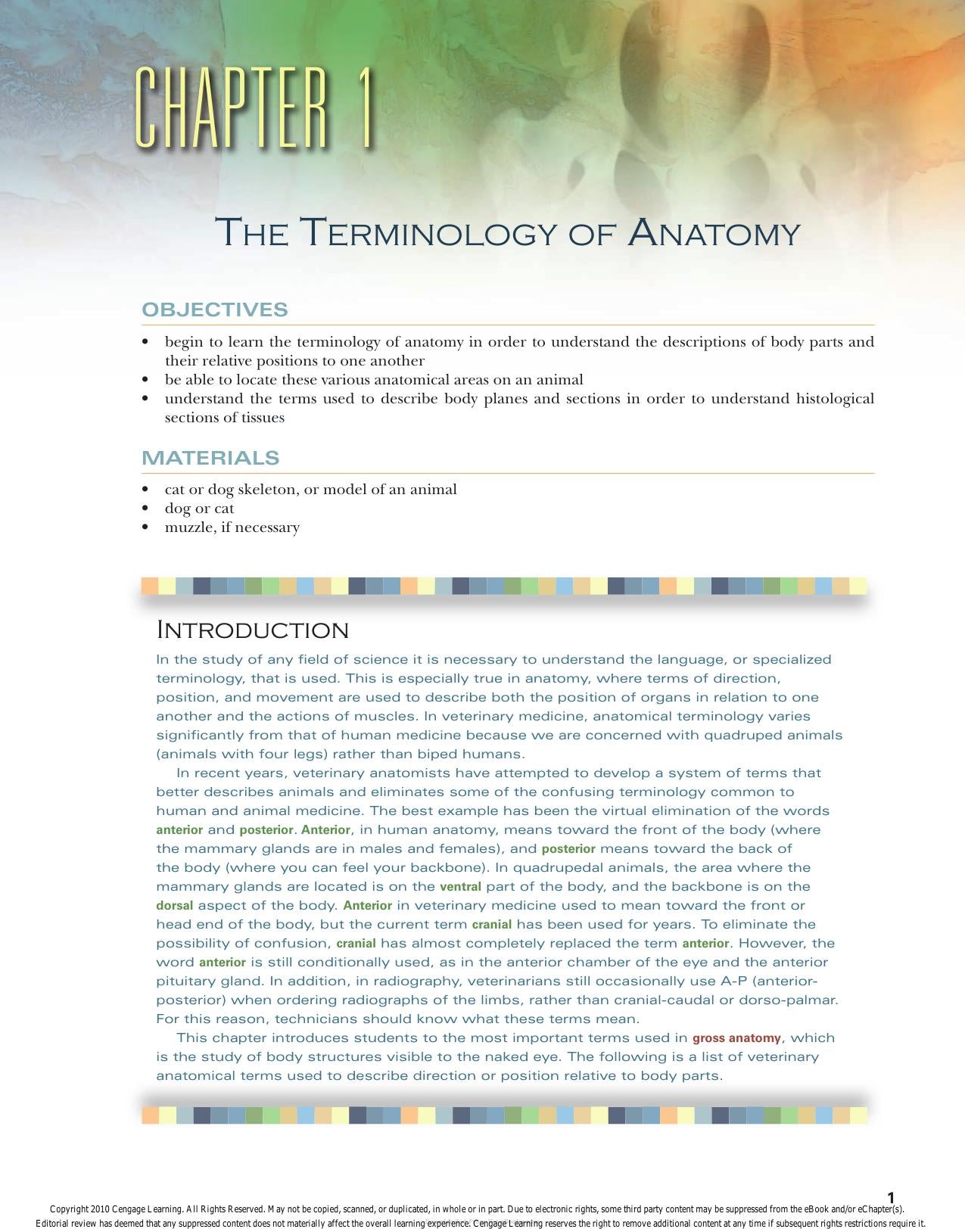 Laboratory Manual Comparative Veterinary Anatomy Physiology 2nd Edition