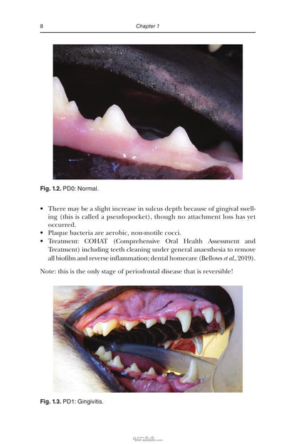 An Introduction to Pet Dental Care for Veterinary Nurses and Technicians