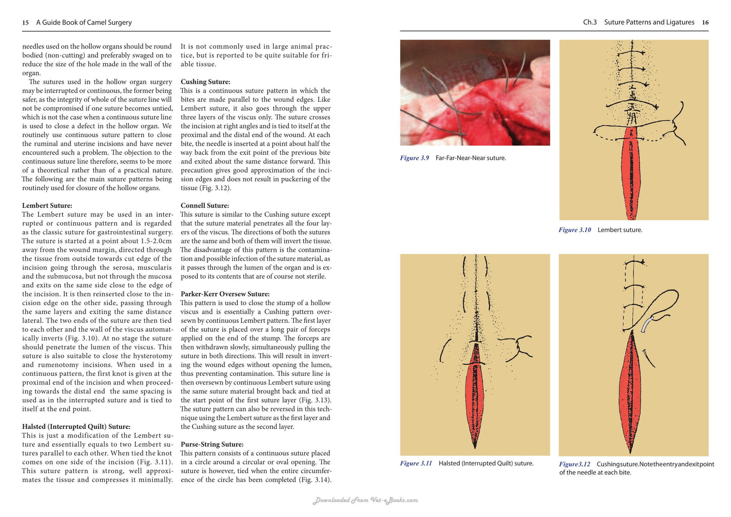 A Guide Book Of Camel Surgery