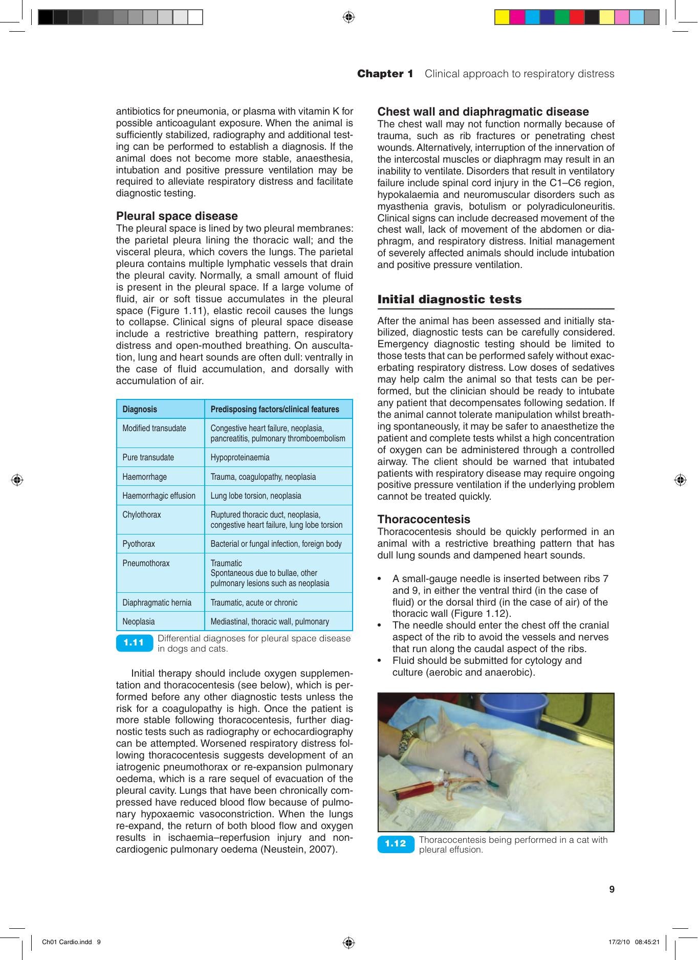 Bsava Manual of Canine and Feline Cardiorespiratory Medicine 2nd Edition