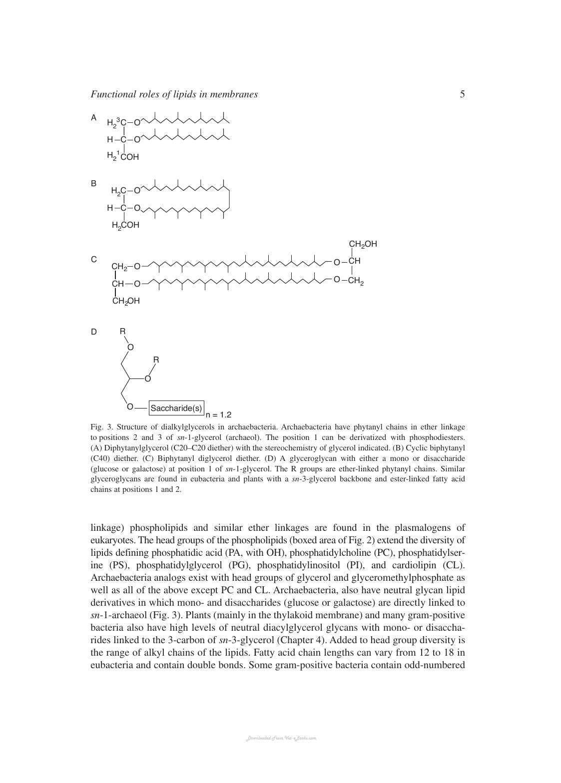 Biochemistry of Lipids Lipoproteins and Membranes