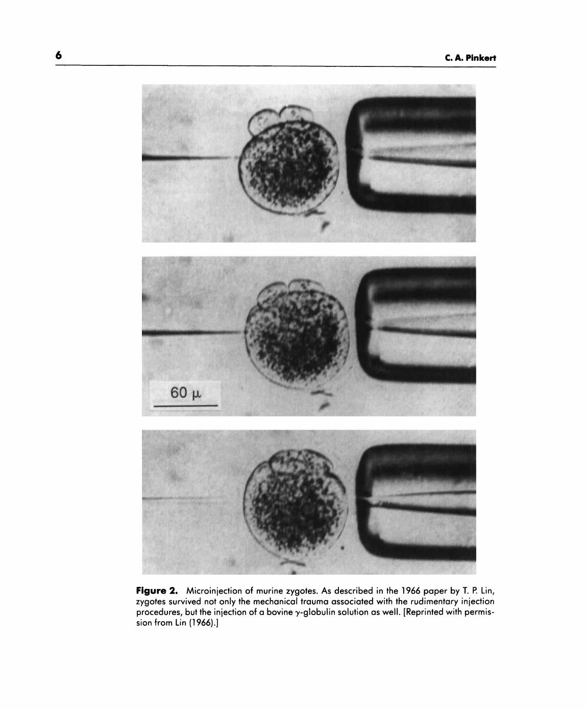 Transgenic Animal Technology a Laboratory Handbook
