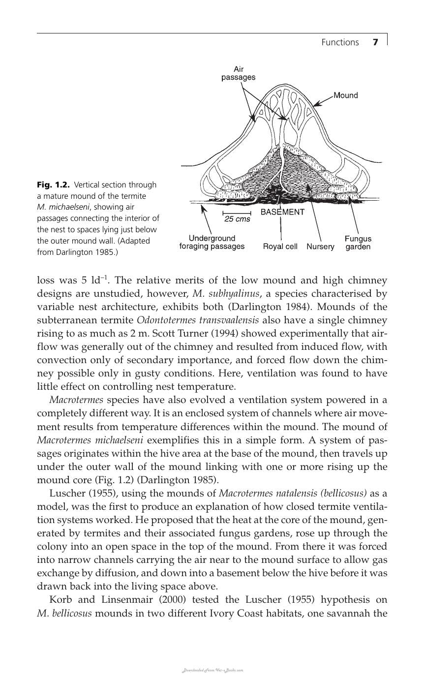 Animal Architecture