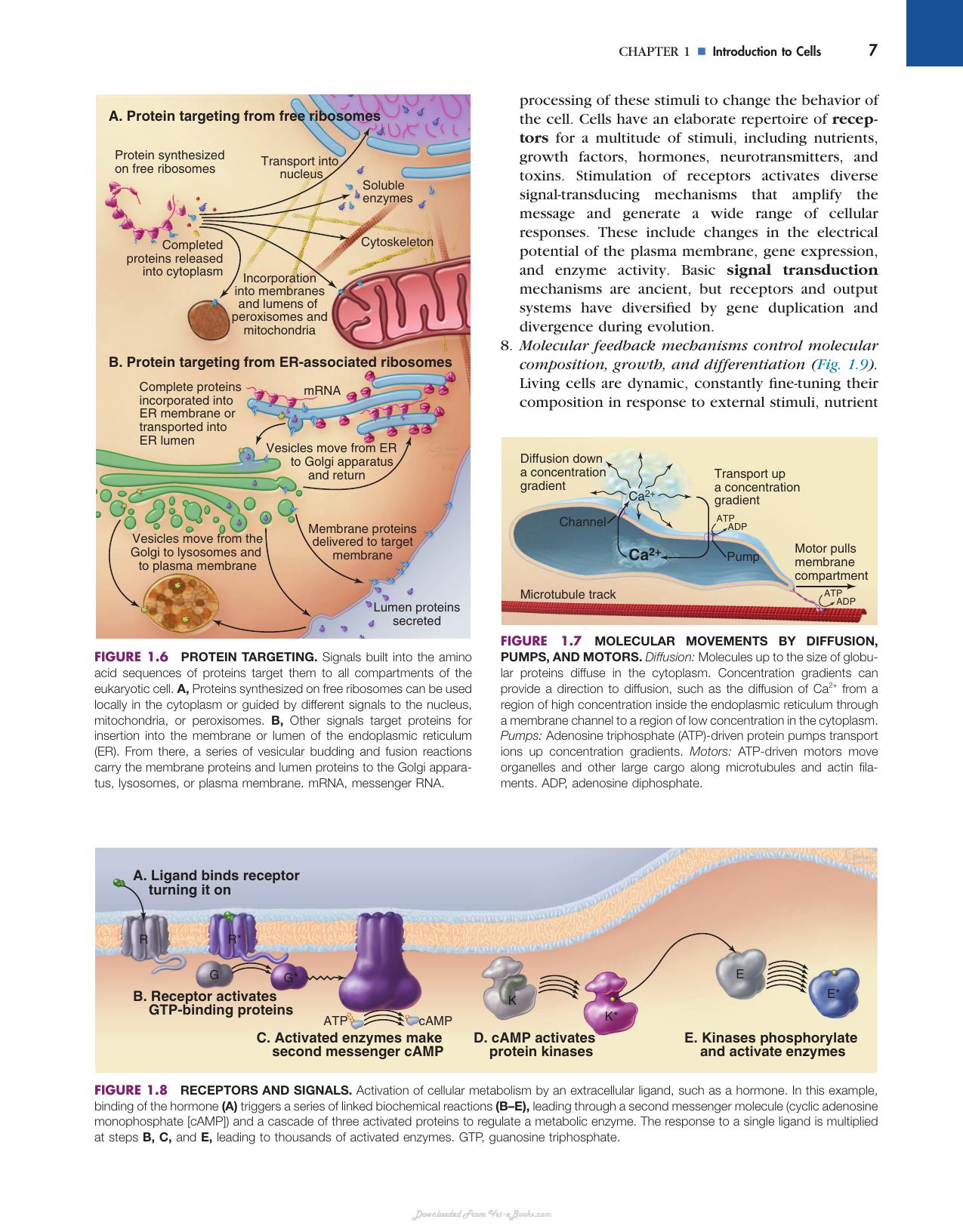 Cell Biology 3rd Edition
