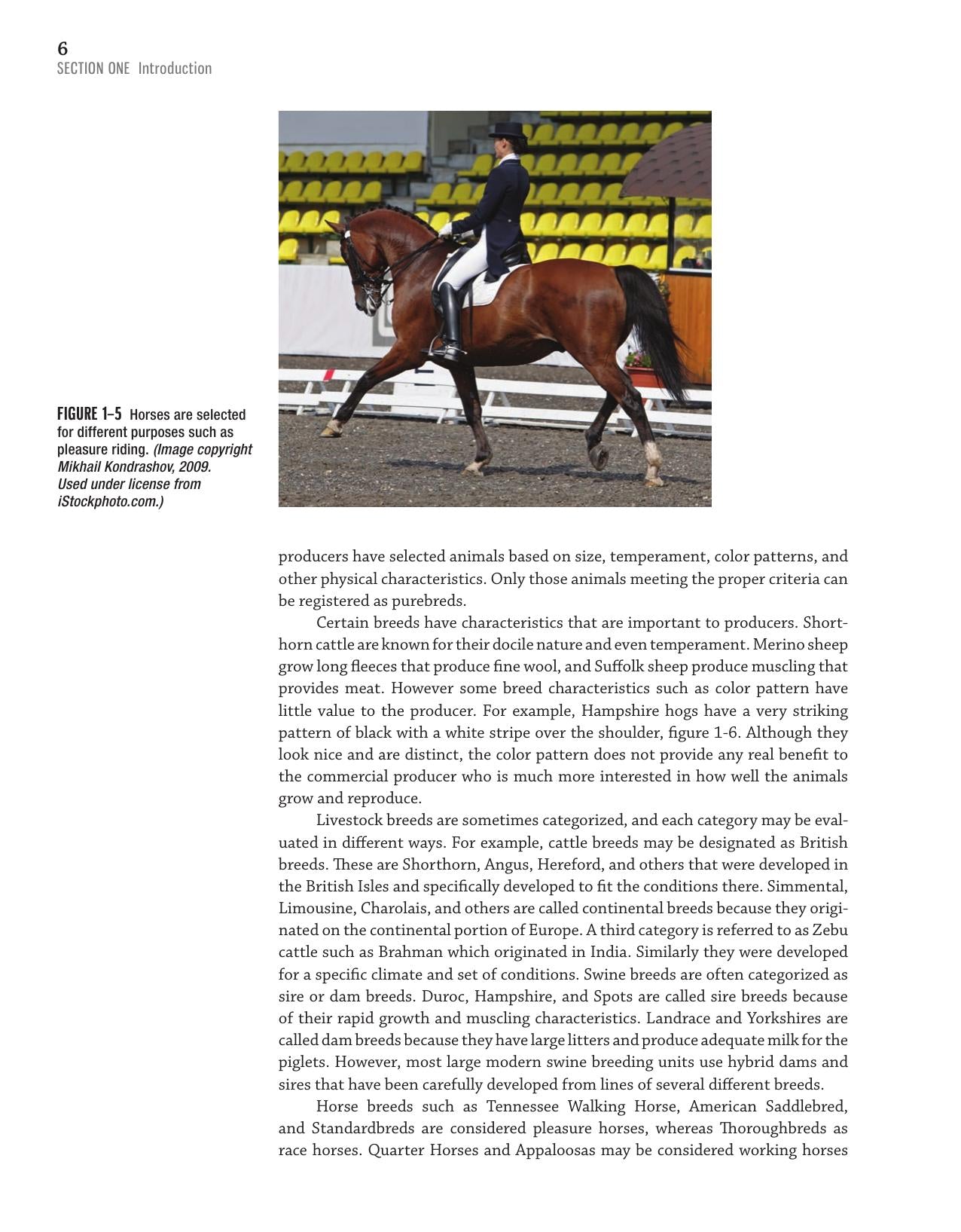 The Art And Science Of Livestock Evaluation