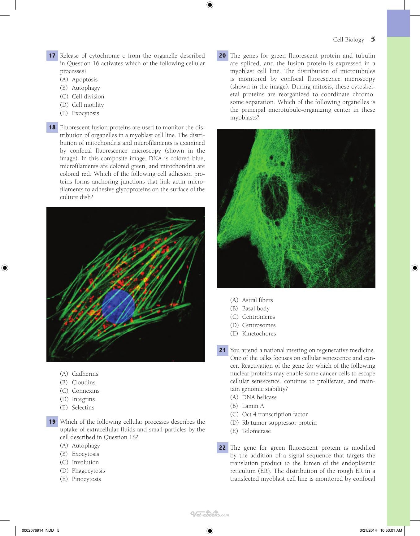 Lippincotts Illustrated Qa Review of Histology