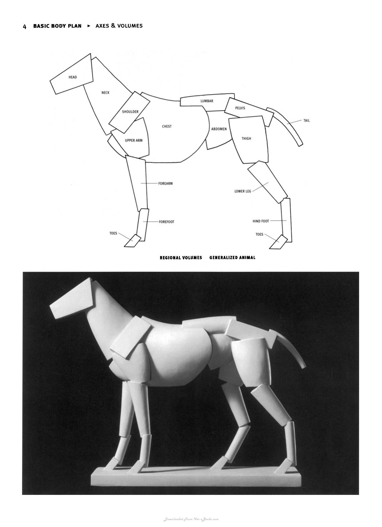 Animal Anatomy For Artists The Elements Of Form