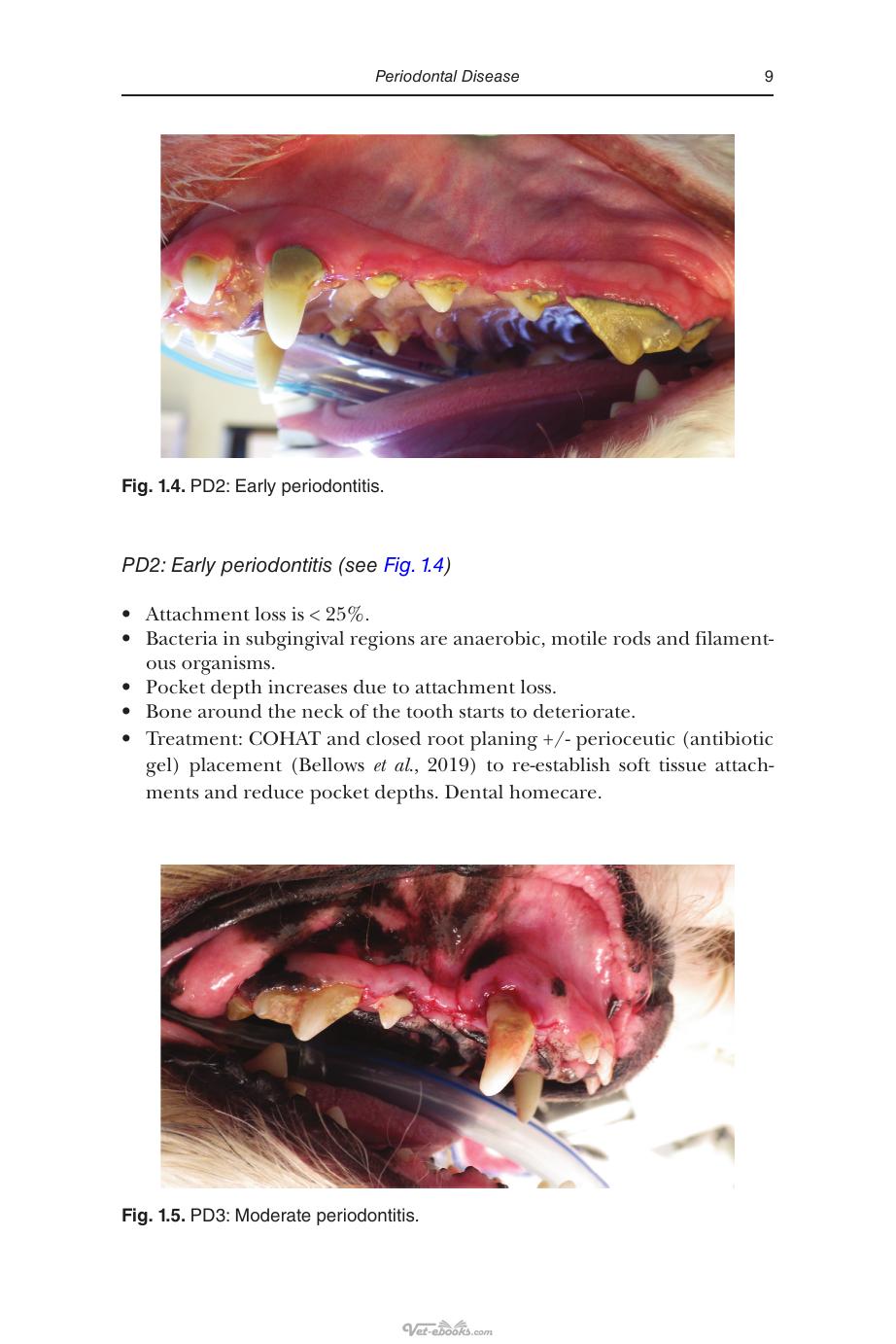 An Introduction to Pet Dental Care for Veterinary Nurses and Technicians