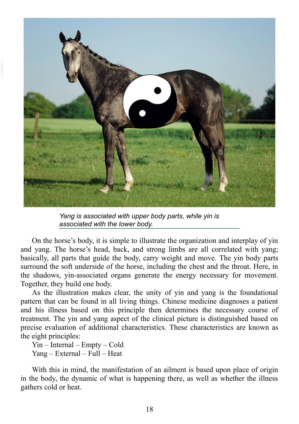 Acupressure for Horses Hands on Techniques to Solve Performance Problems and Ease Pain and Discomfort Pdf