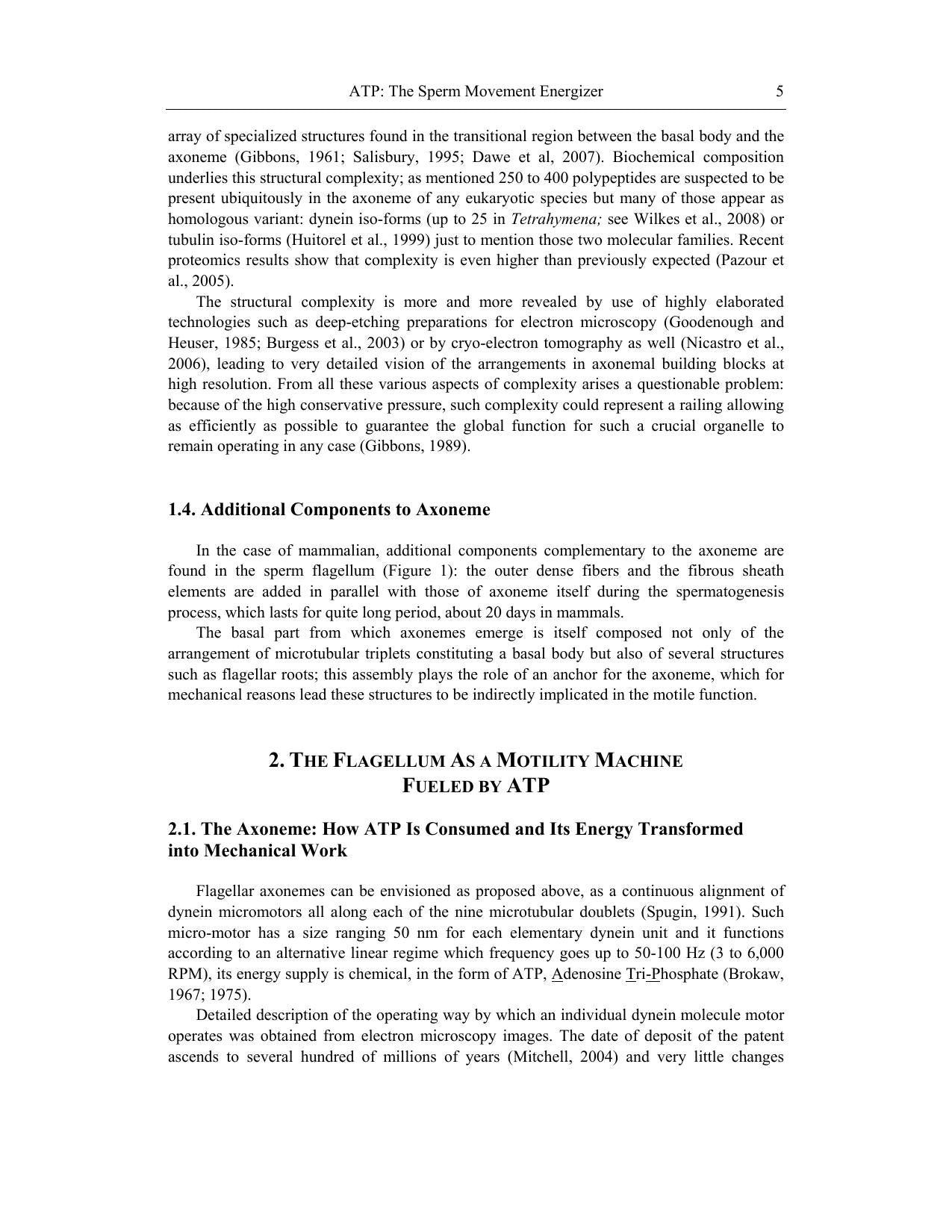 Adenosine Triphosphate Chemical Properties Biosynthesis and Functions in Cells