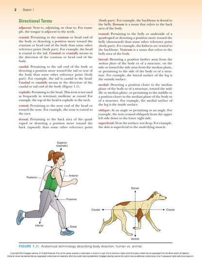 Laboratory Manual Comparative Veterinary Anatomy Physiology 2nd Edition