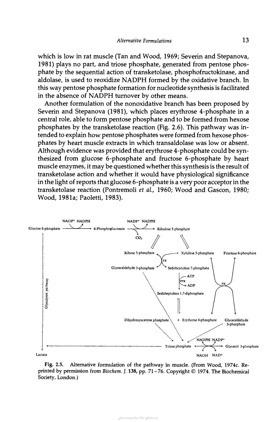 The Pentose Phosphate Pathway Terry Wood