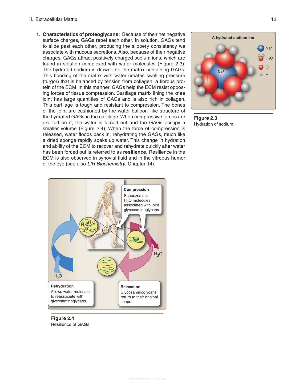 Lippincott Illustrated Reviews Cell and Molecular Biology 2nd Edition