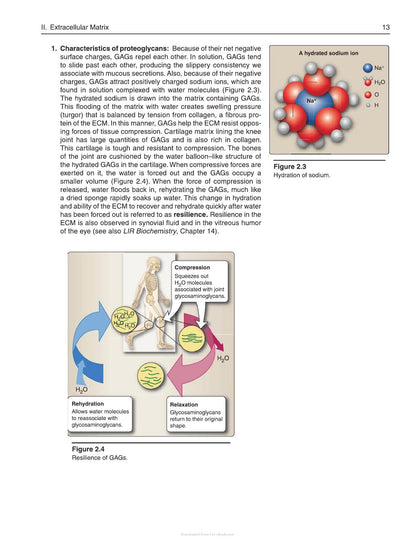 Lippincott Illustrated Reviews Cell and Molecular Biology 2nd Edition