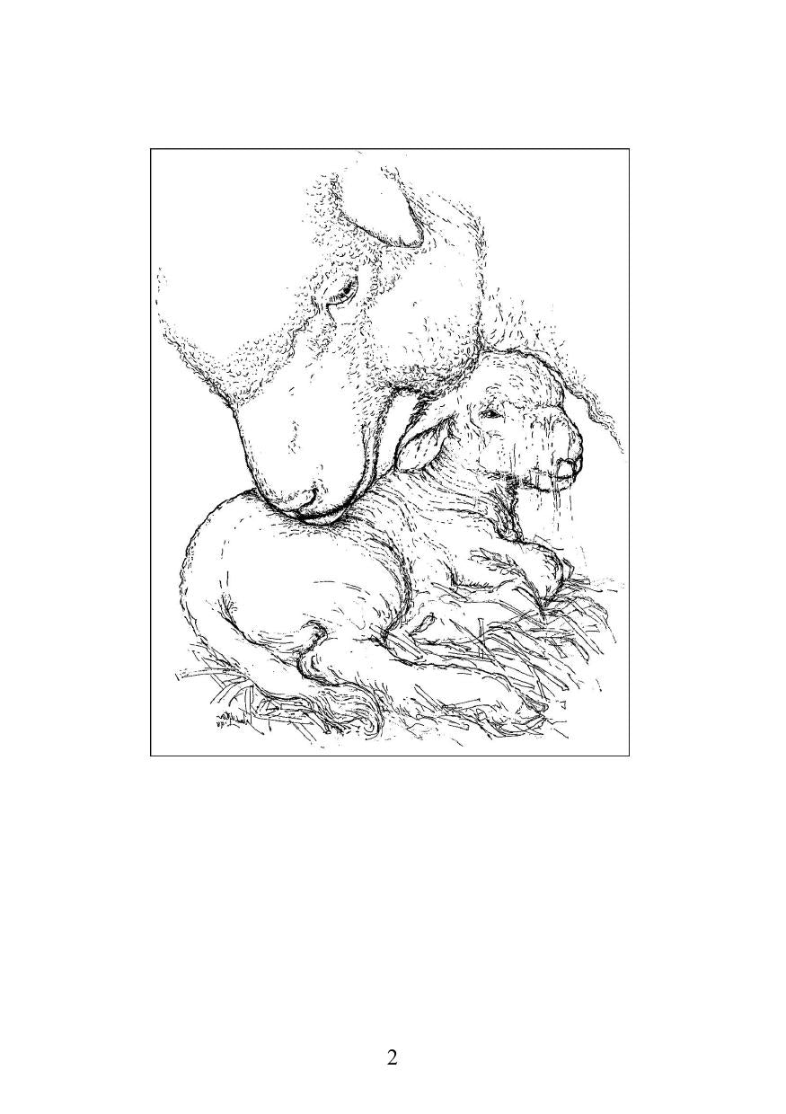 Manual Of Lambing Techniques