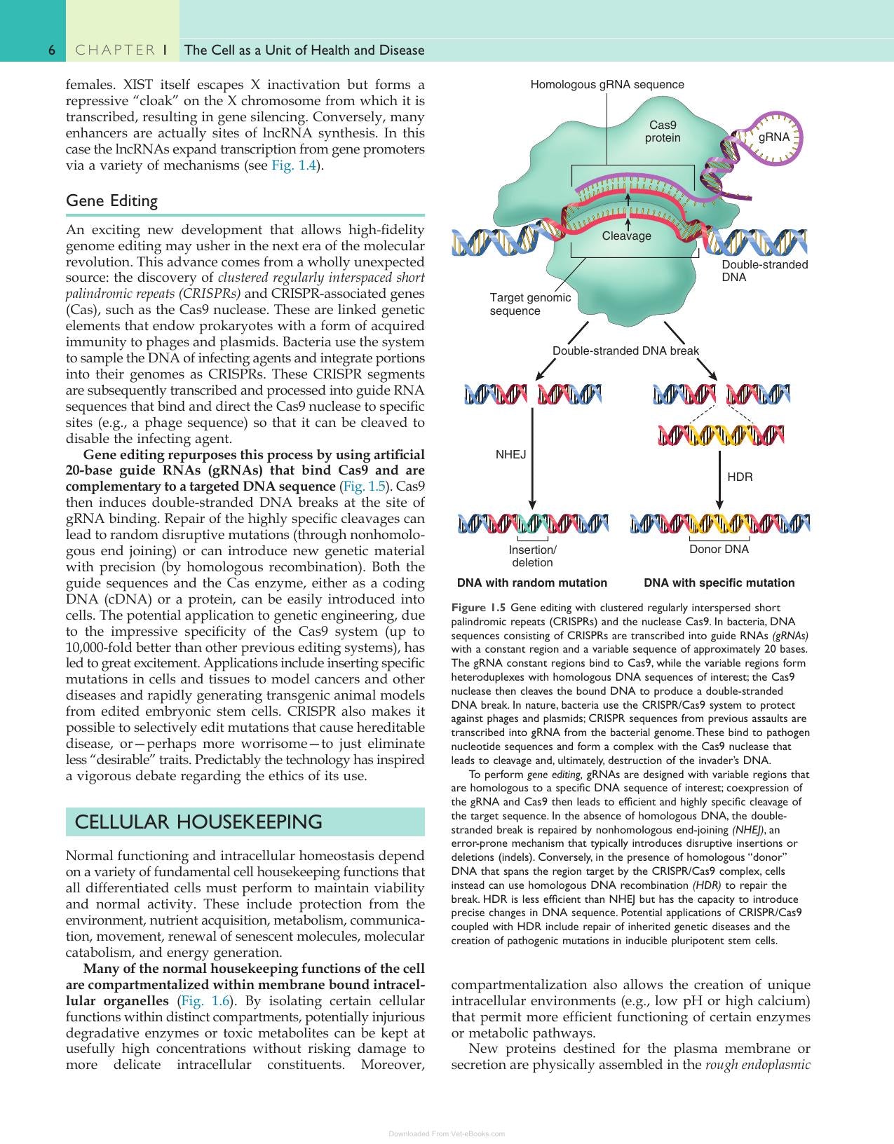 Robbins and Cotran Pathologic Basis of Disease Pdf