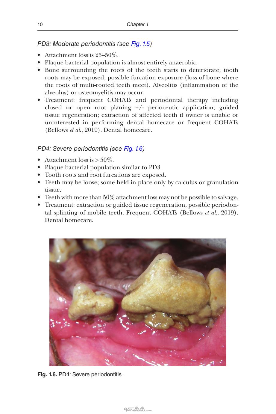 An Introduction to Pet Dental Care for Veterinary Nurses and Technicians