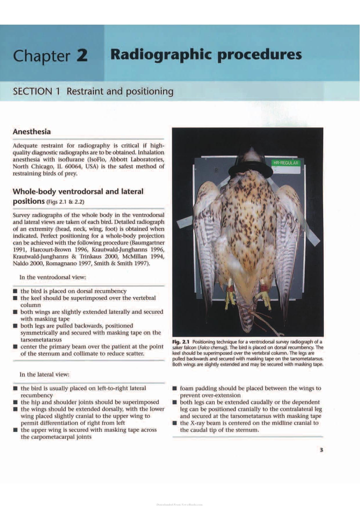 Anatomical and Clinical Radiology of Birds of Prey