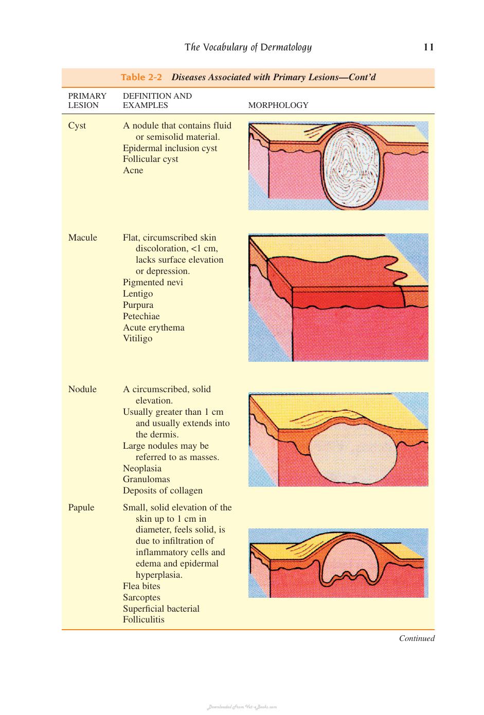 Small Animal Dermatology Secrets