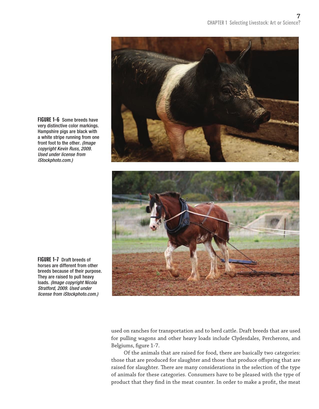 The Art And Science Of Livestock Evaluation