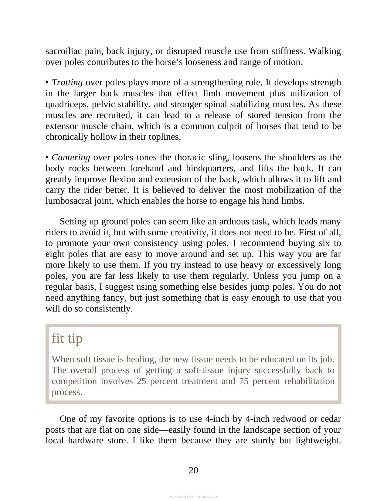 55 Corrective Exercises For Horses Resolving Postural Problems Improving Movement Patterns And Preventing Injury
