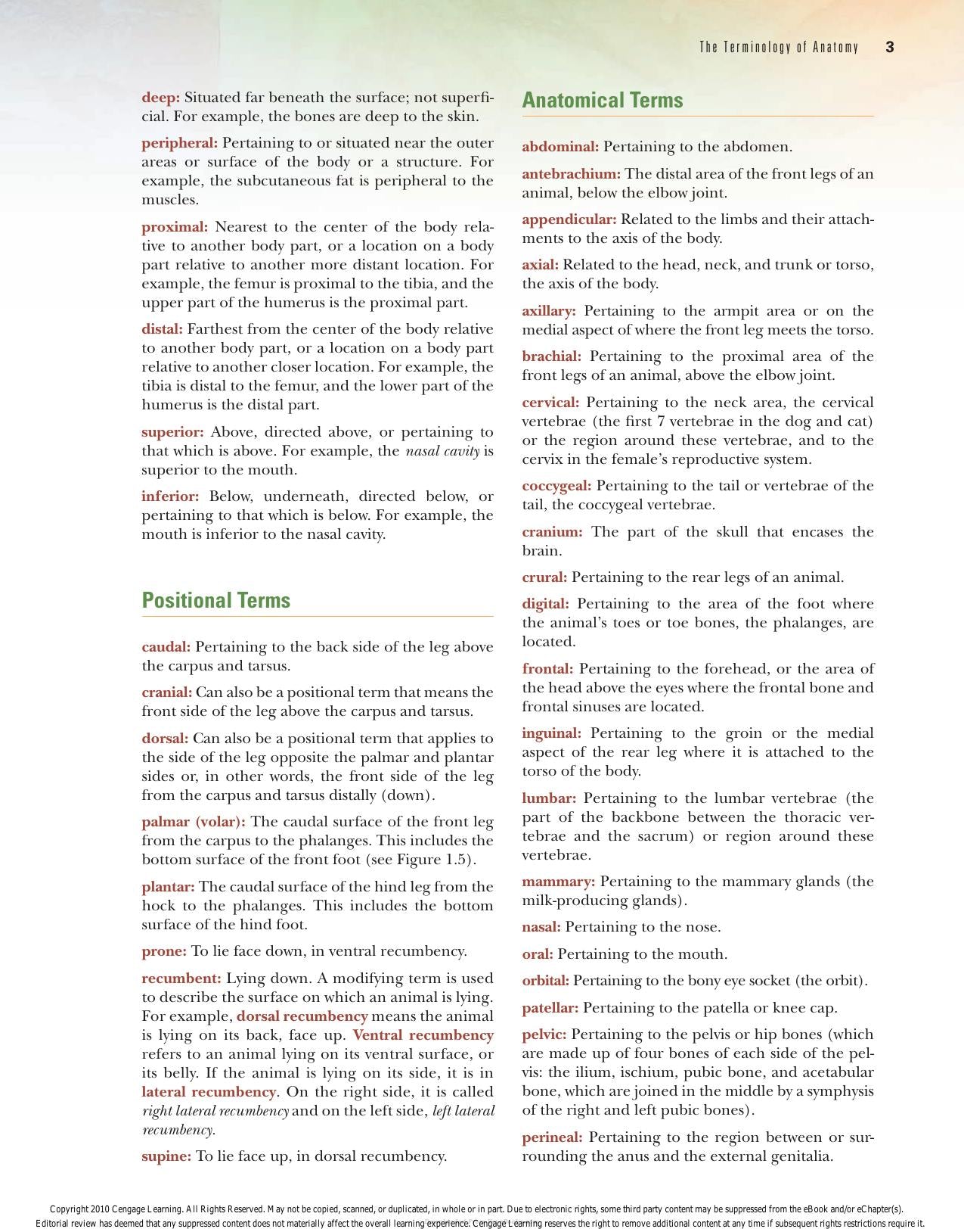 Laboratory Manual Comparative Veterinary Anatomy Physiology 2nd Edition