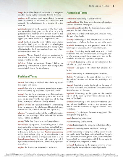 Laboratory Manual Comparative Veterinary Anatomy Physiology 2nd Edition